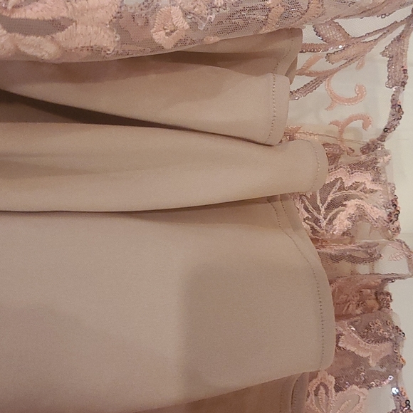 Alex Evenings Sequin Embroidered Cap Slv Flounce Hem Midi Dress Sz 6 NWOT - Picture 9 of 12